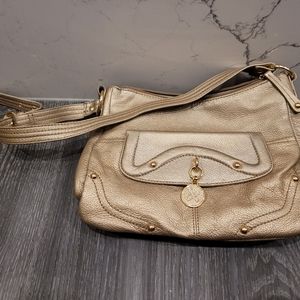 Gold Stone Mountain Purse